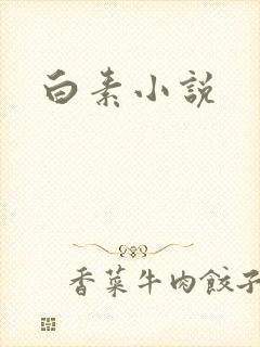 白素小说