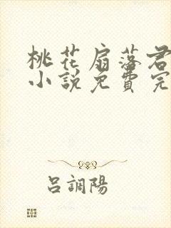 桃花扇落君不还小说免费完整版封面