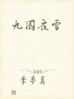 九国夜雪