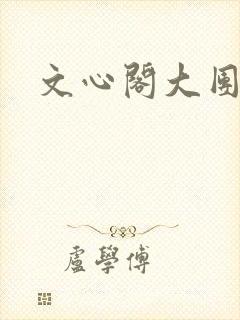 文心阁大团结封面
