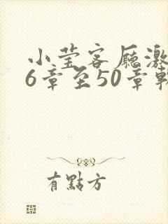 小莹客厅激情46章至50章软件介绍封面