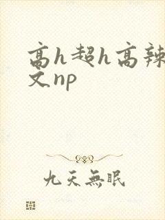 高h超h高辣h文np