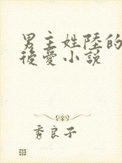 男主姓陆的先婚后爱小说封面
