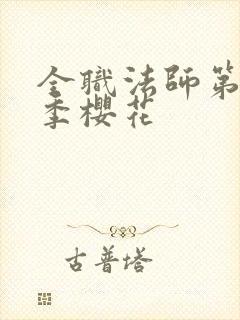 全职法师第10季樱花封面