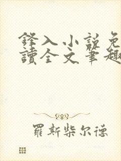 锋入小说免费阅读全文笔趣阁封面