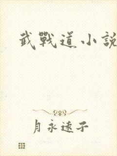武战道小说
