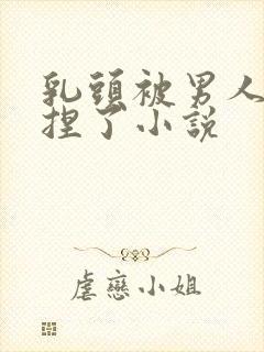 乳头被男人使劲捏了小说