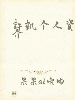 许凯个人资料简介