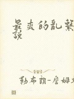 最爽的乱系列小说