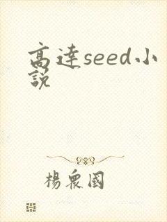 高达seed小说
