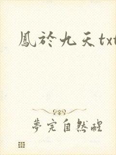 凤于九天txt