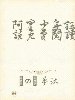 阿宾少年钰慧小说免费阅读笔趣阁