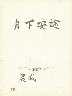 月下安途