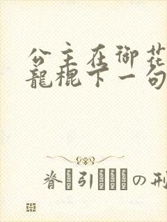 公主在御花园吃龙棍下一句封面