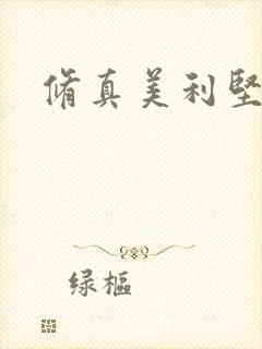 修真美利坚封面