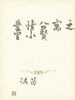 爱情公寓之极品曾小贤