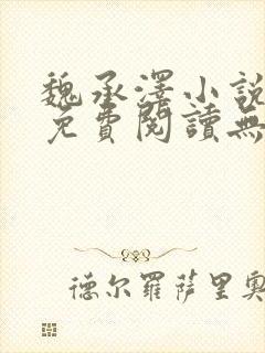 魏承泽小说全文免费阅读无弹窗笔趣