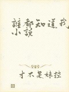 谁都知道我爱你小说