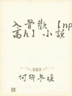 入骨欢 【np高h】小说