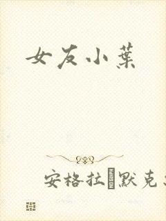 女友小叶