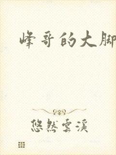 峰哥的大脚