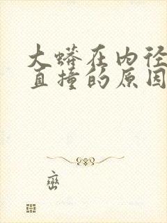 大蟒在内径横冲直撞的原因