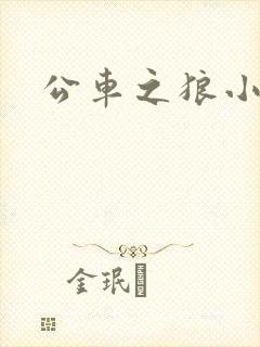 公车之狼小说