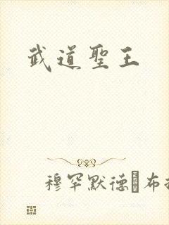 武道圣王