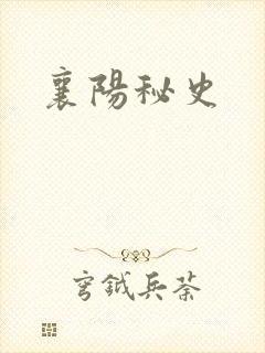 襄阳秘史