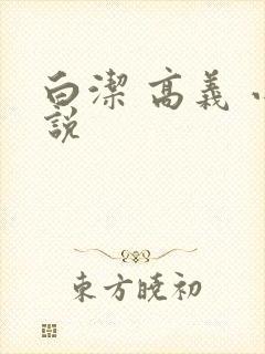 白洁 高义 小说