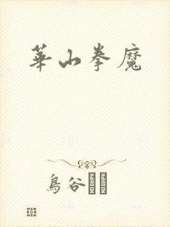 华山拳魔封面