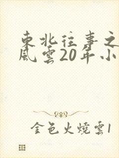 东北往事之黑道风云20年小说