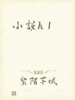 小说h 1