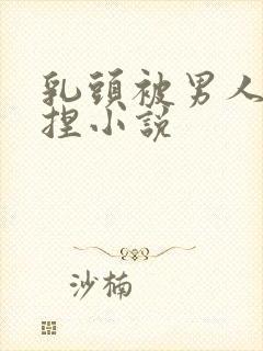 乳头被男人使劲捏小说