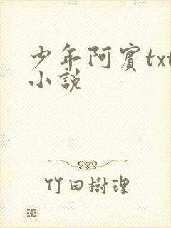 少年阿宾txt小说