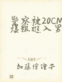 警察被20CM爆粗进入男男软件