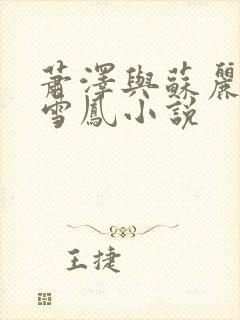 萧泽与苏丽莎王雪凤小说