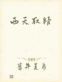 西天取精