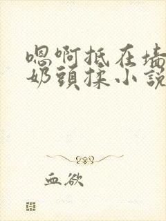 嗯啊抵在墙上h奶头揉小说