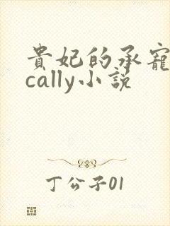 贵妃的承宠日常cally小说