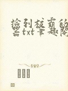 捡到校霸的遥控器txt笔趣阁