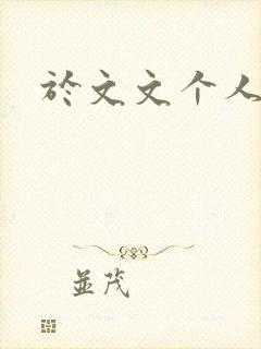 于文文个人简历