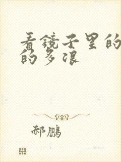 看镜子里的你叫的多浪封面