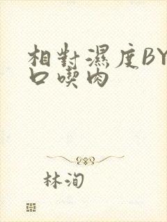 相对湿度BY大口吃肉封面