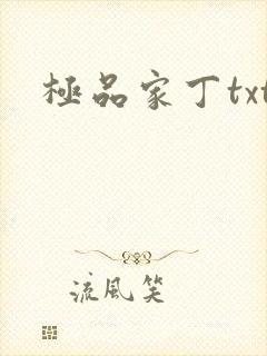 极品家丁txt