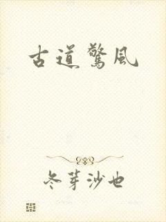 古道惊风封面