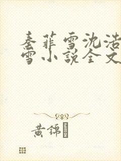 秦菲雪沈浩秦菲雪小说全文免费阅读求书