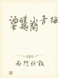 酒酿小青梅po笔趣阁封面