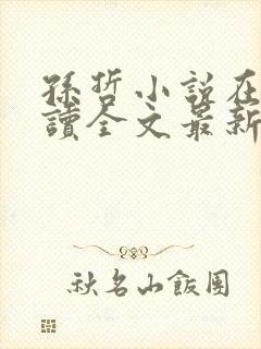 孙哲小说在线阅读全文最新