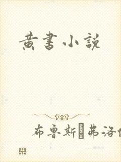 黄书小说封面